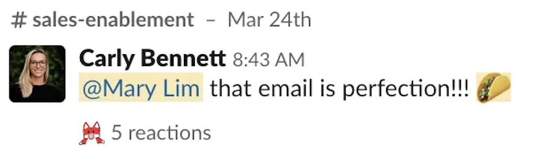 Slack feedback that reads '@Mary Lim that email is perfection!!!'